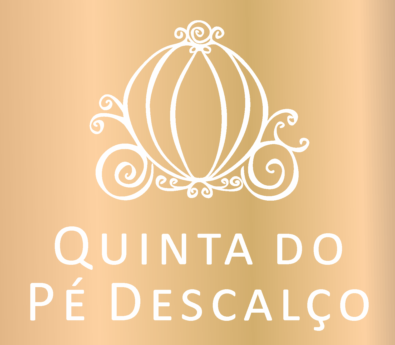Criando Logotipos para Portugal